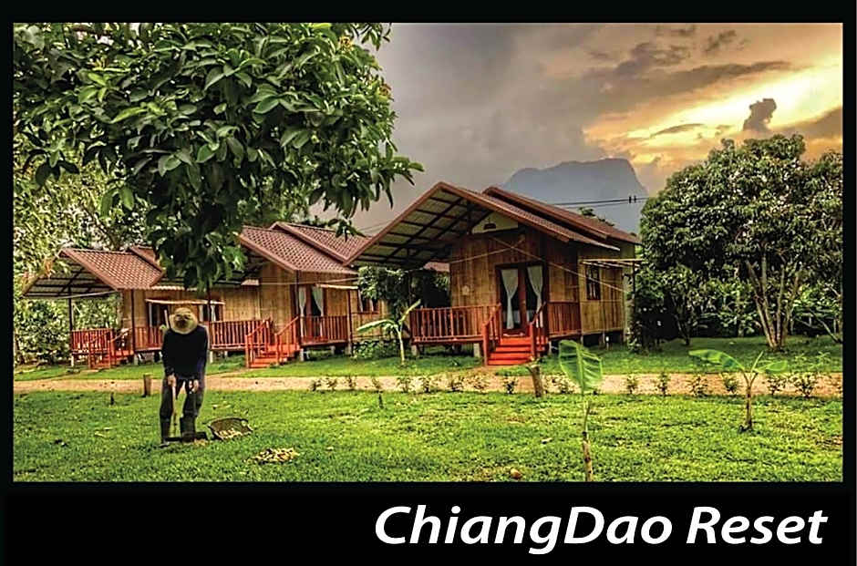 Chiang Dao Reset