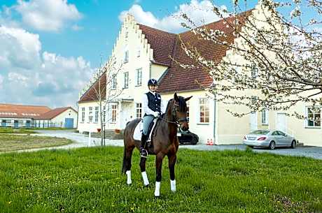 Boutique Hotel Gut Tribbevitz