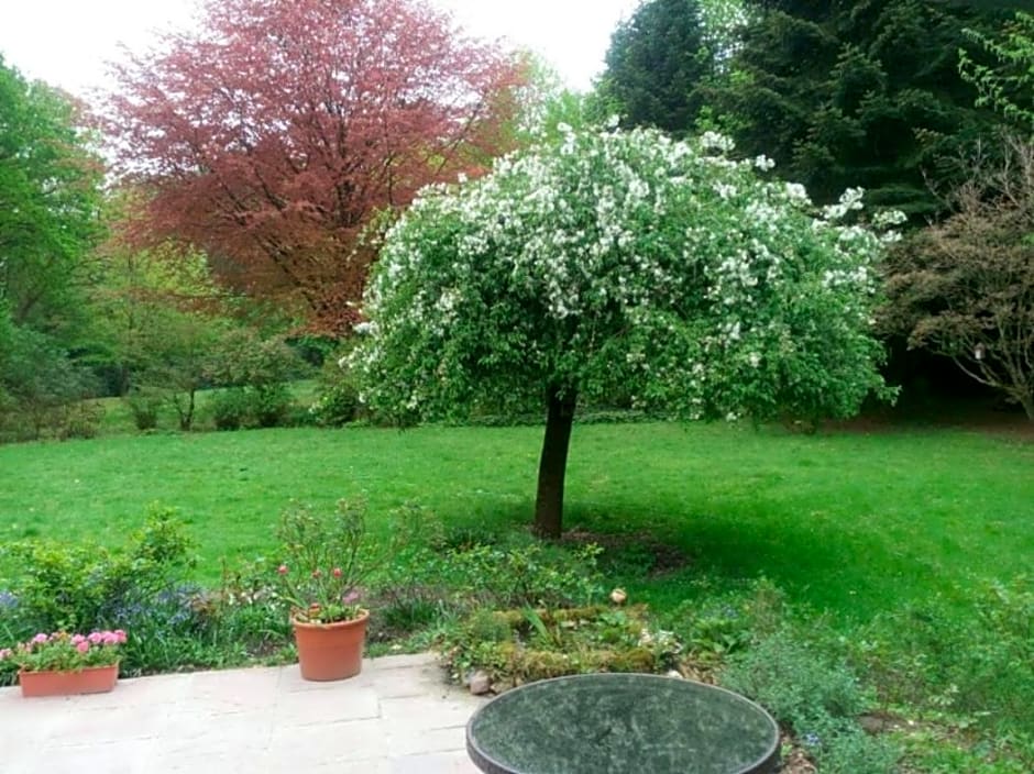 Zimmer mit Teichblick