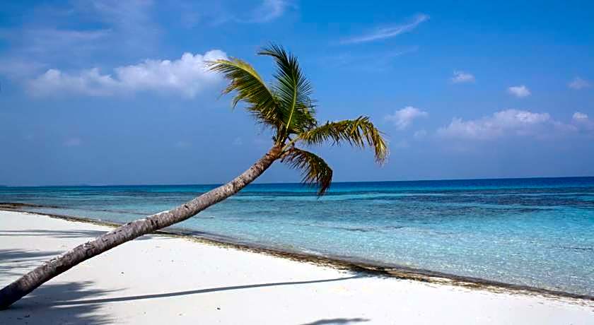 Boutique Beach Guesthouse All Inclusive Diving Hotel