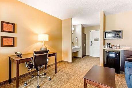 King Suite with Sofa Bed