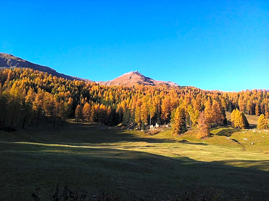 Hotel Bellavista Ftan