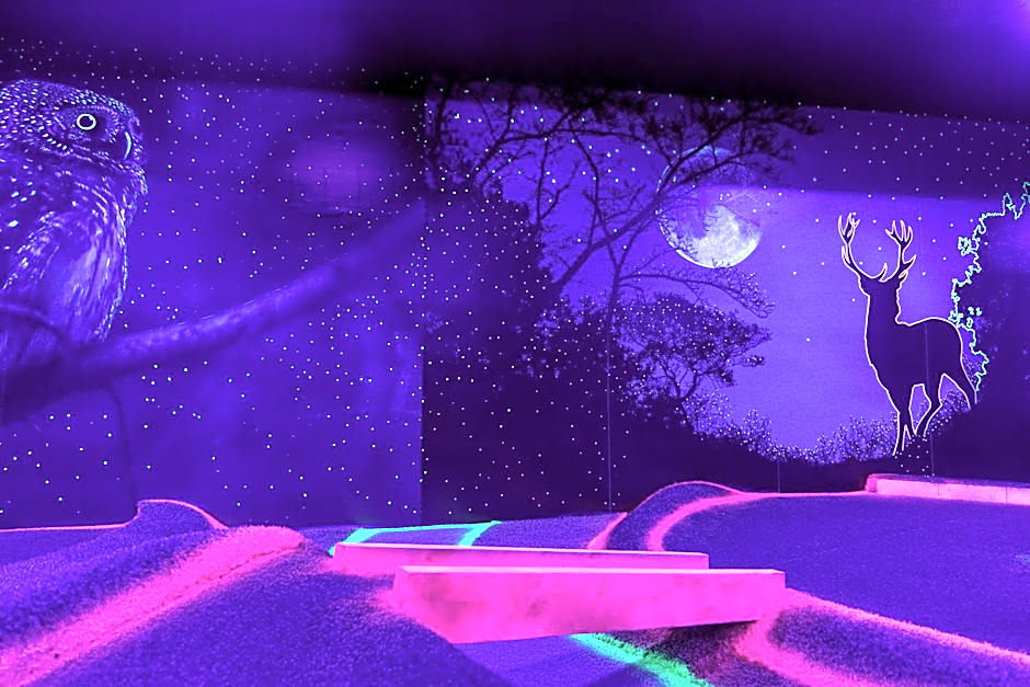 Alpenbad Hotel Hohenhaus