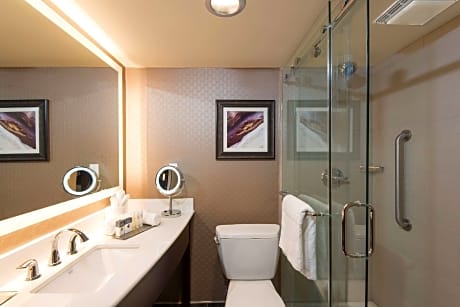 1 King 2 Room Suite with Sofabed