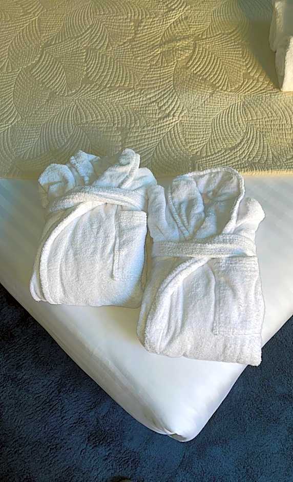 Hôtel les 4 éléments