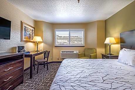 1 King Bed Non-Smoking