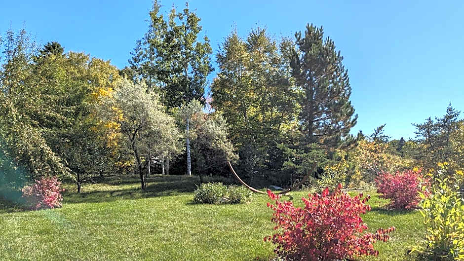 Au Cachalot Caché le gîte hôtel