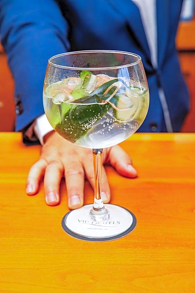 VIP Executive Santa Iria Hotel