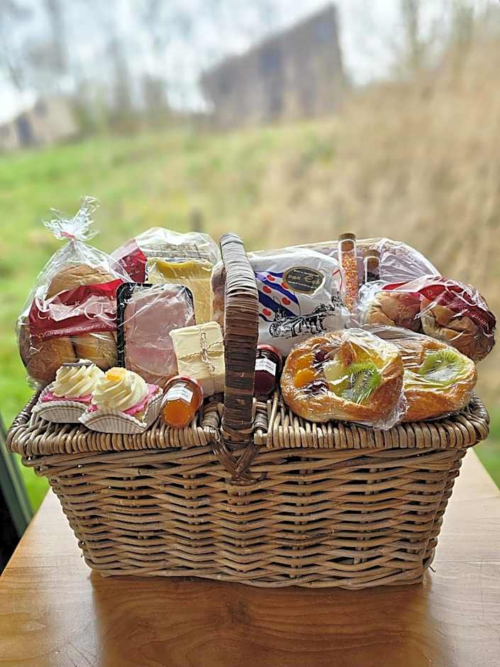 Tiny House De Skierroek