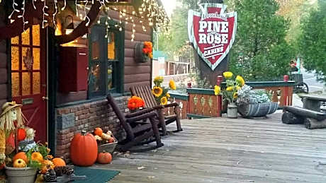 Arrowhead Pine Rose Cabins