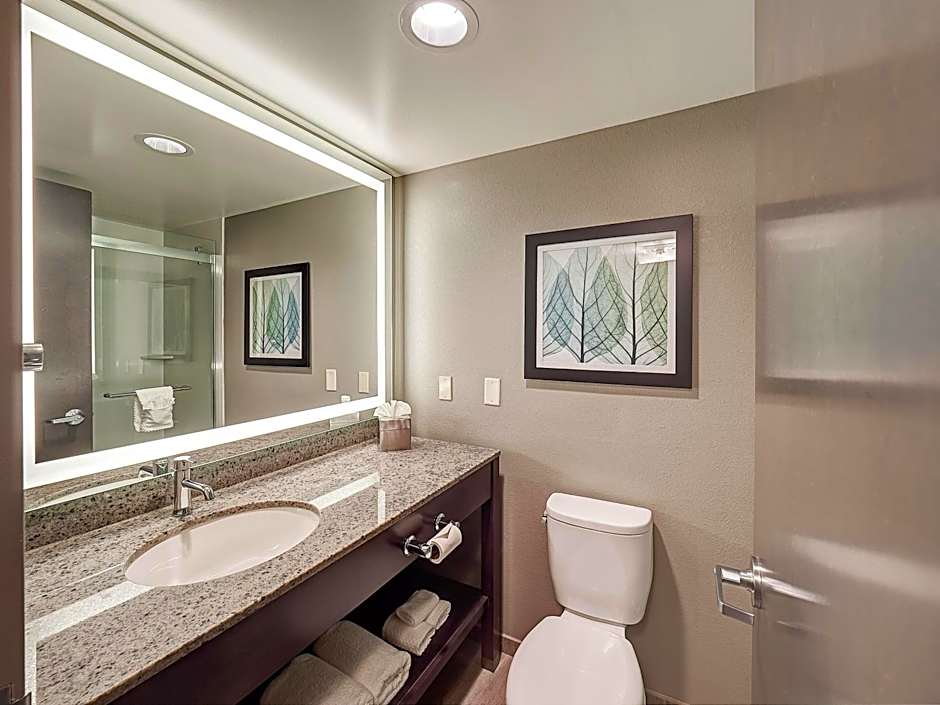 DoubleTree By Hilton Hotel Bloomington