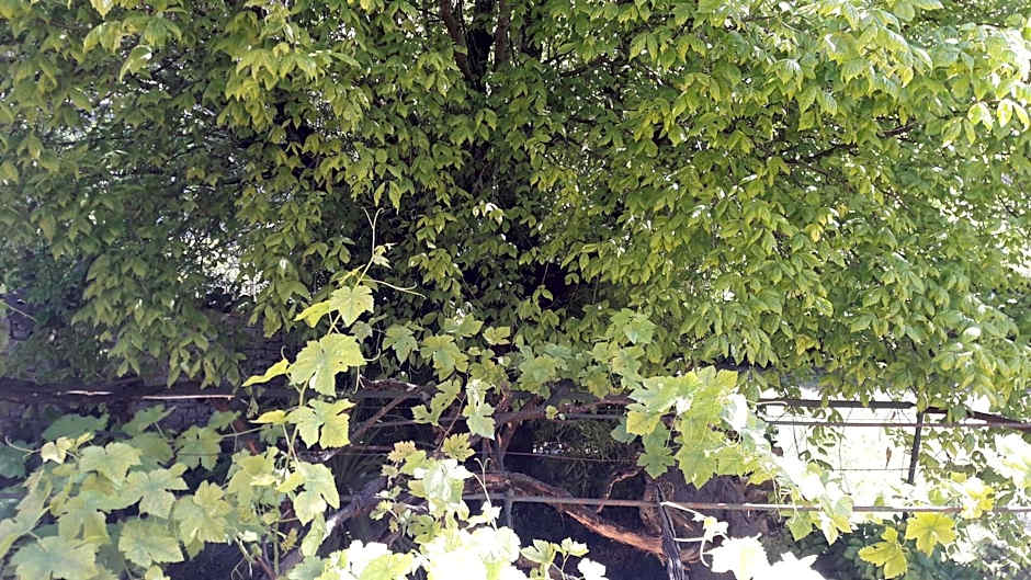 Bastide Sainte Agnès