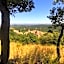 Clos des Vignes Pampelonne Vineyard