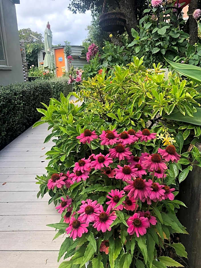 Top Floor Bed and Breakfast