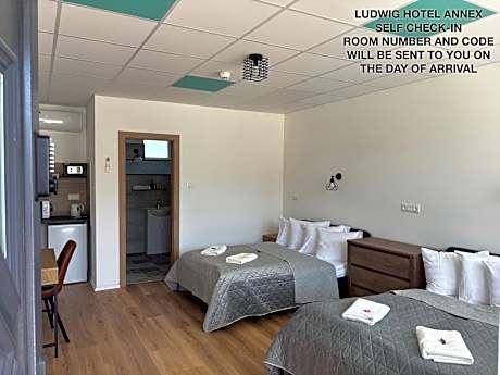 Ludwig Hotel Annex - Superior Twin Room