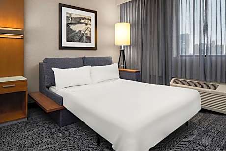 King Room with Sofa Bed