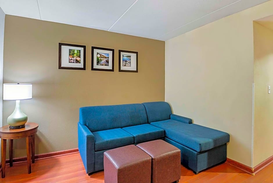 Comfort Suites At Virginia Center Commons