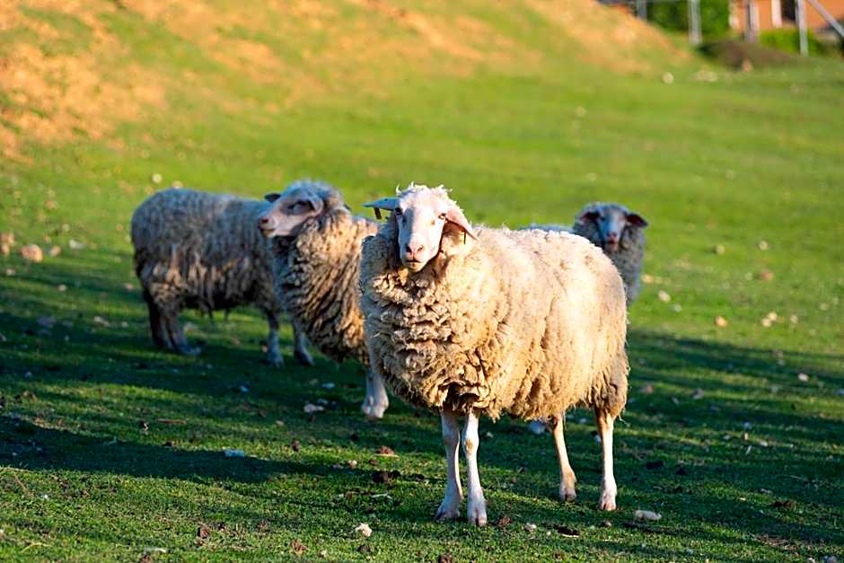 Vinné sklepy Skalák