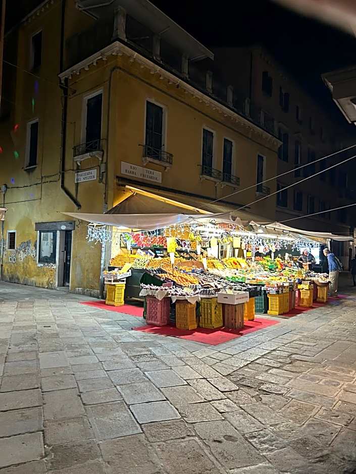 Lions Venice Guest house