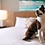 Hyatt House Virginia Beach/Oceanfront