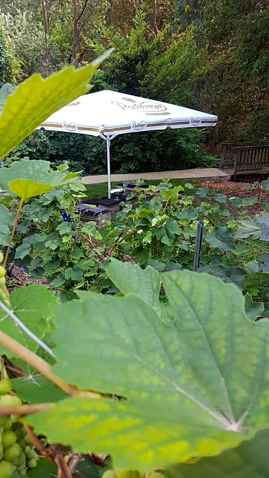 Hotel Wippertal - voll klimatisiert