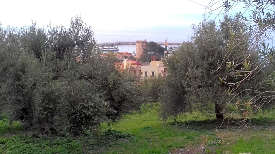 Benvenuti Al Sud – Trabia, CA