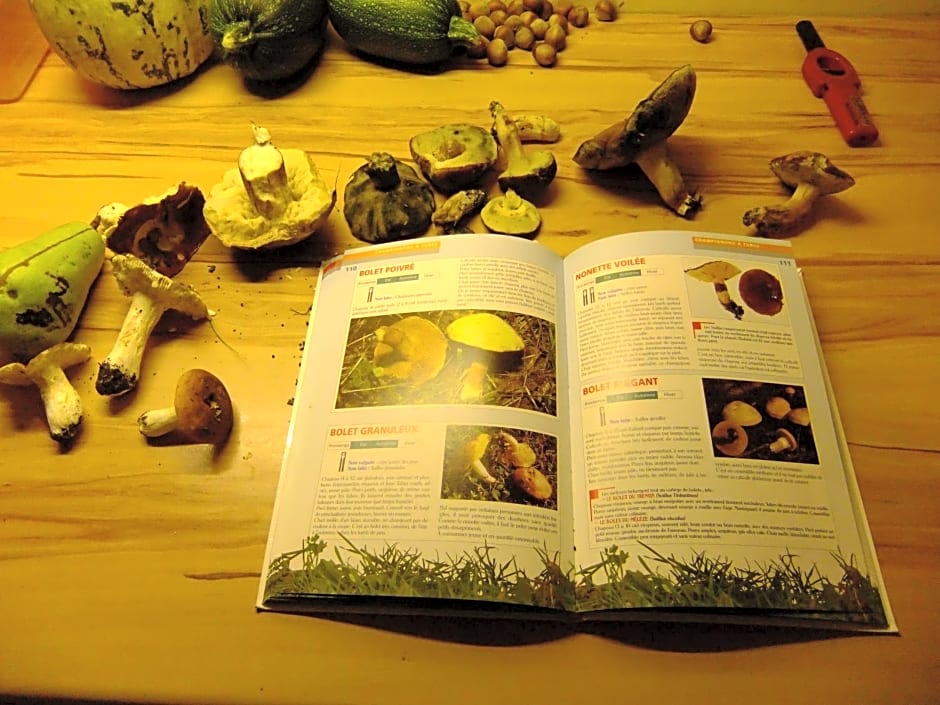 Chambres d'Hôtes Le Foursou