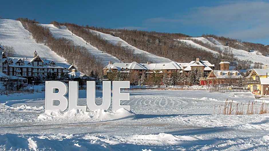 Blue Heart Mountain Studio Dream Walk to slopes, tennis