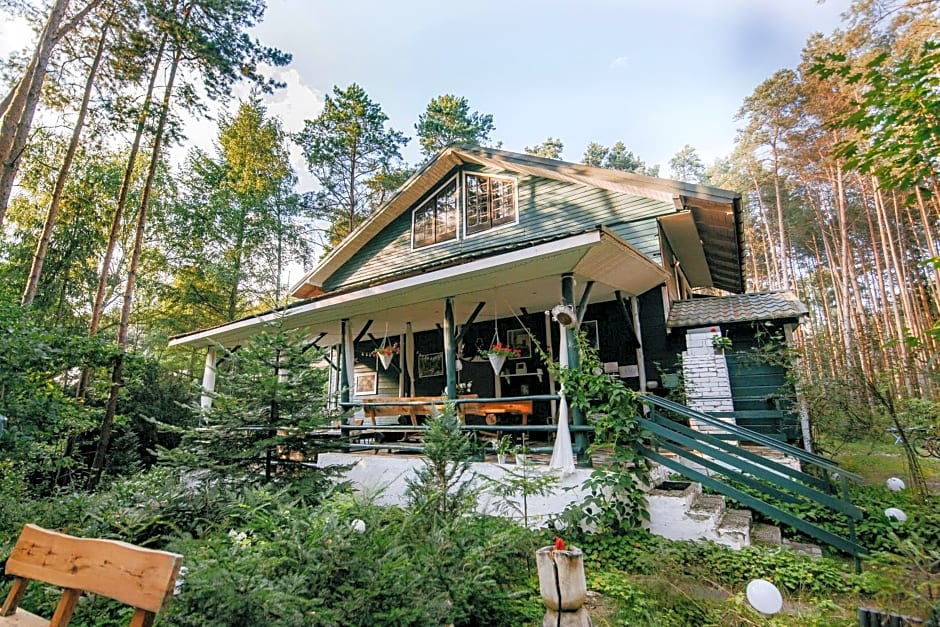 Zacisze Leśne nad Pilicą