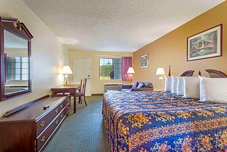 1 King Bed Non-Smoking