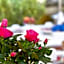 Quodlibet Guesthouse