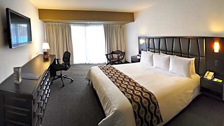 1 King First Floor Terrace Non-smoking