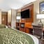Comfort Inn & Suites Dimondale - Lansing
