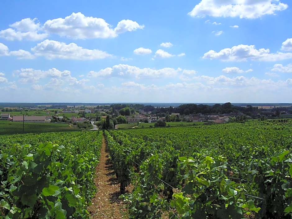 Hotel l'Orée Des Vignes