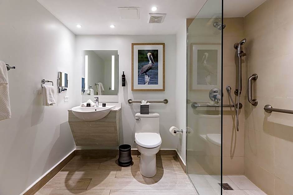 Condado Palm Inn San Juan, Tapestry Collection by Hilton