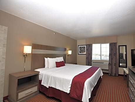 1 Bedroom King Suite