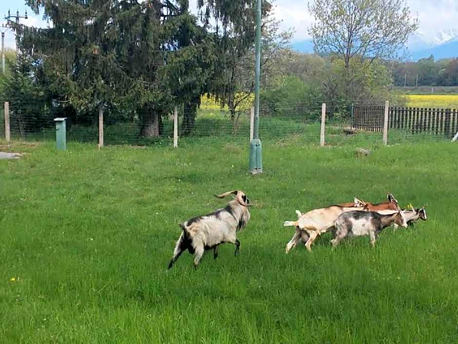 Borová Sihoť ATC and penzion