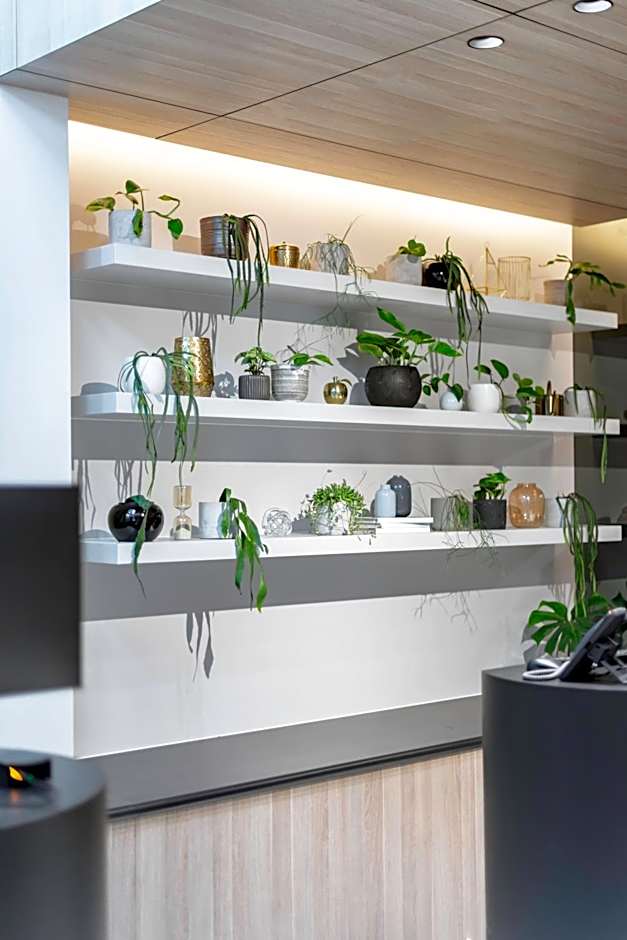 Brady Hotels Jones Lane