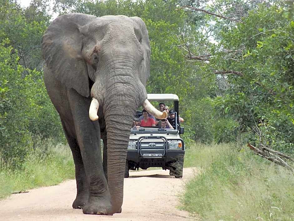 Rhino Post Safari Lodge
