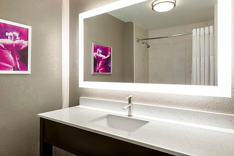 La Quinta Inn & Suites by Wyndham Arlington North Six Flags Drive