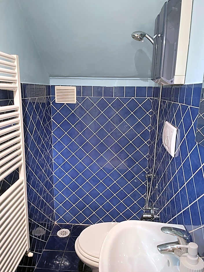 Homelink Firenze - De' Medici