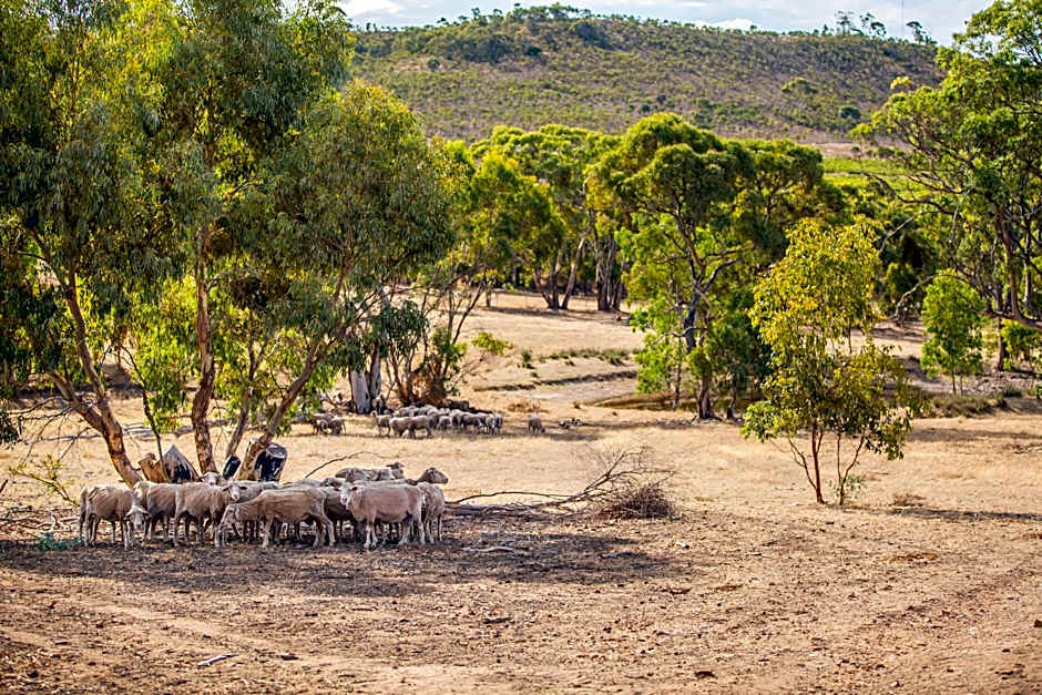 Neagles Retreat Villas