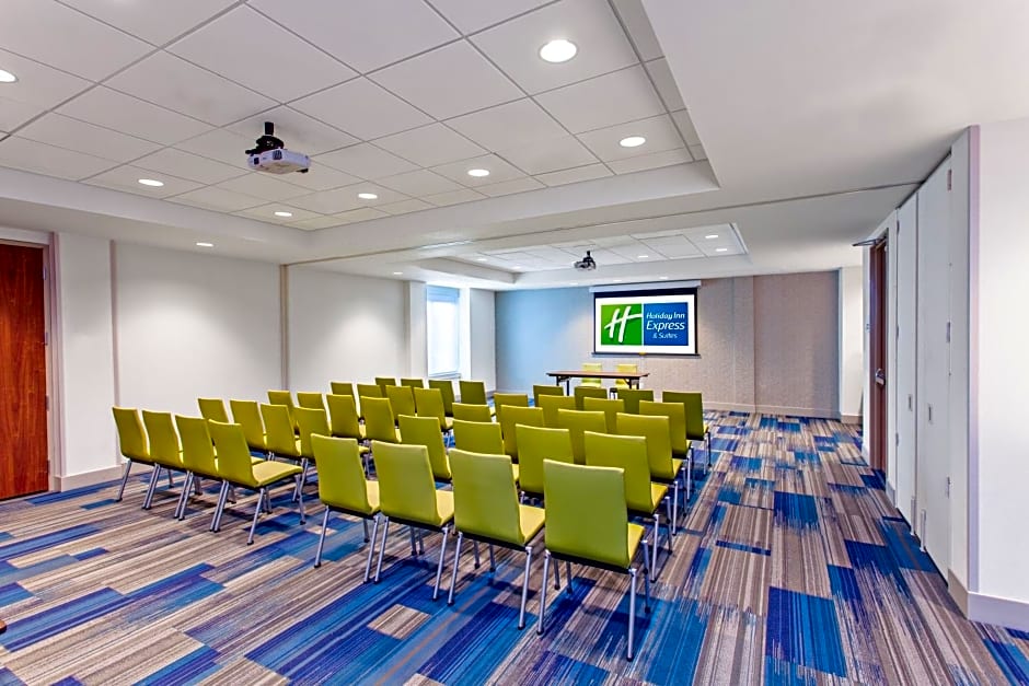 Holiday Inn Express & Suites Houston S-Medical Ctr Area, an IHG Hotel By IHG