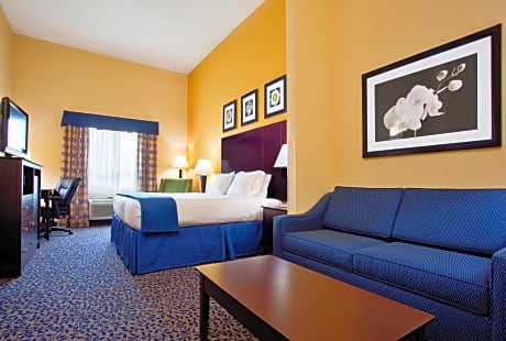 Suite King Bed Non Smoking