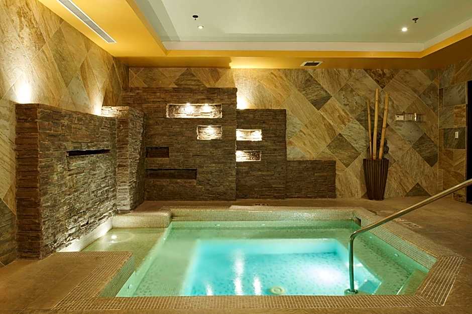 Wingate by Wyndham Chihuahua