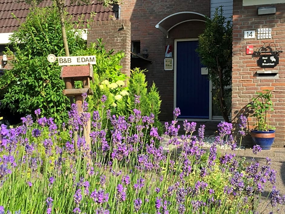 B&B-Edam