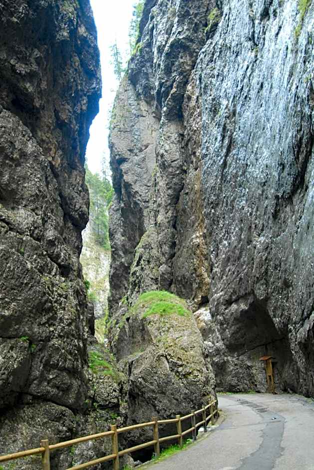 Apartments Sol E Nef