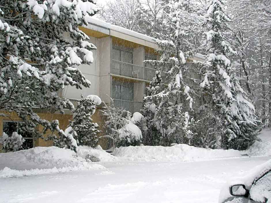 Hotel Restaurant Pavillon Carina