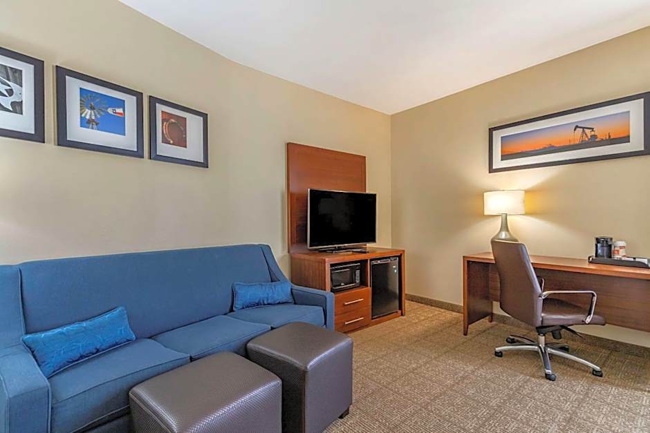 Comfort Suites Buda - Austin South