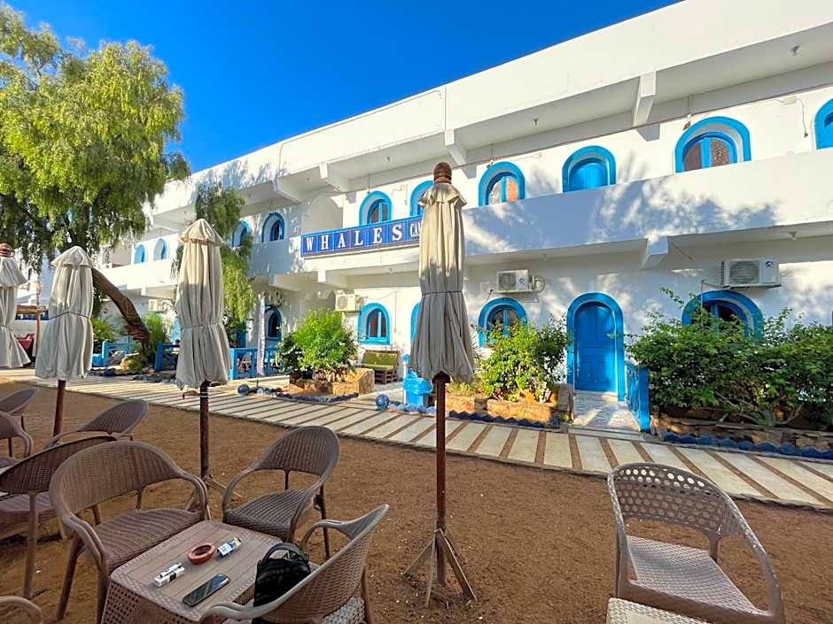 whales camp dahab